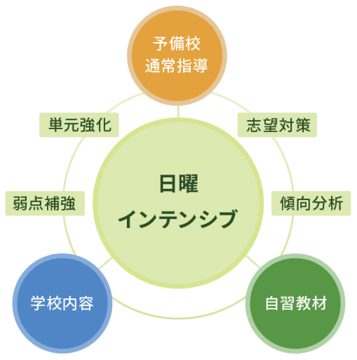 日曜インテンシブ